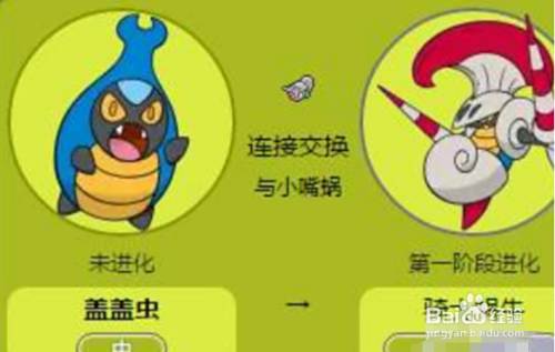 盖盖虫怎么进化 百度经验