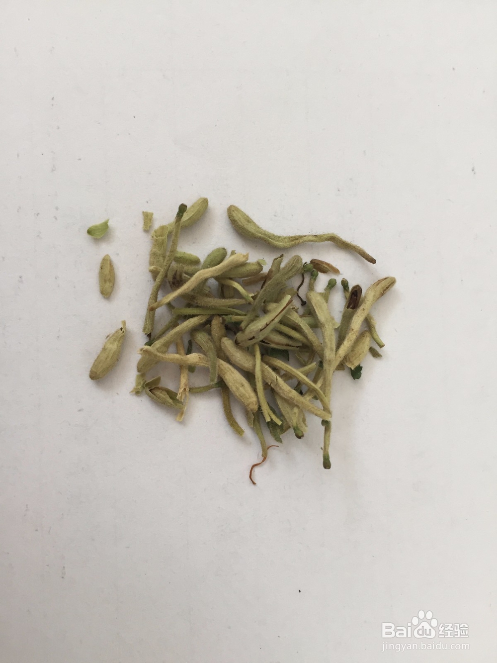 春天如何泡去火茶