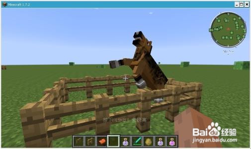 我的世界马怎么生孩子