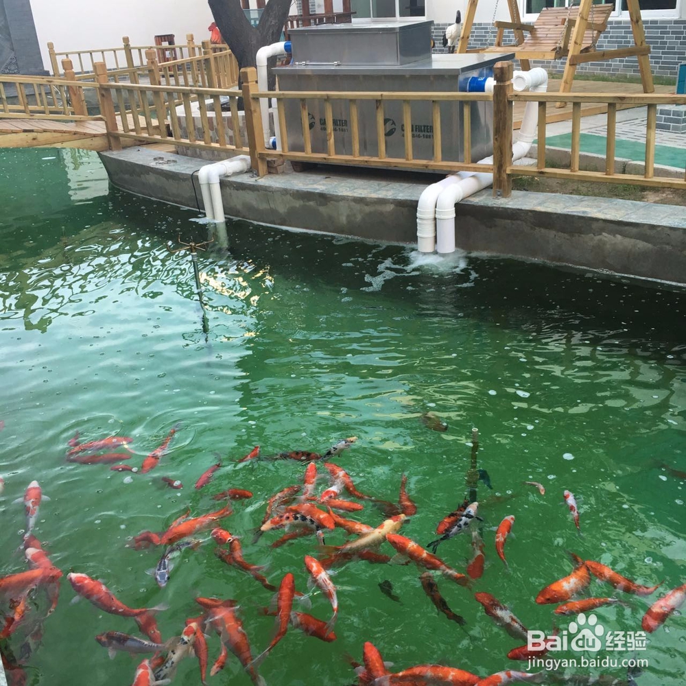 鱼池过滤系统