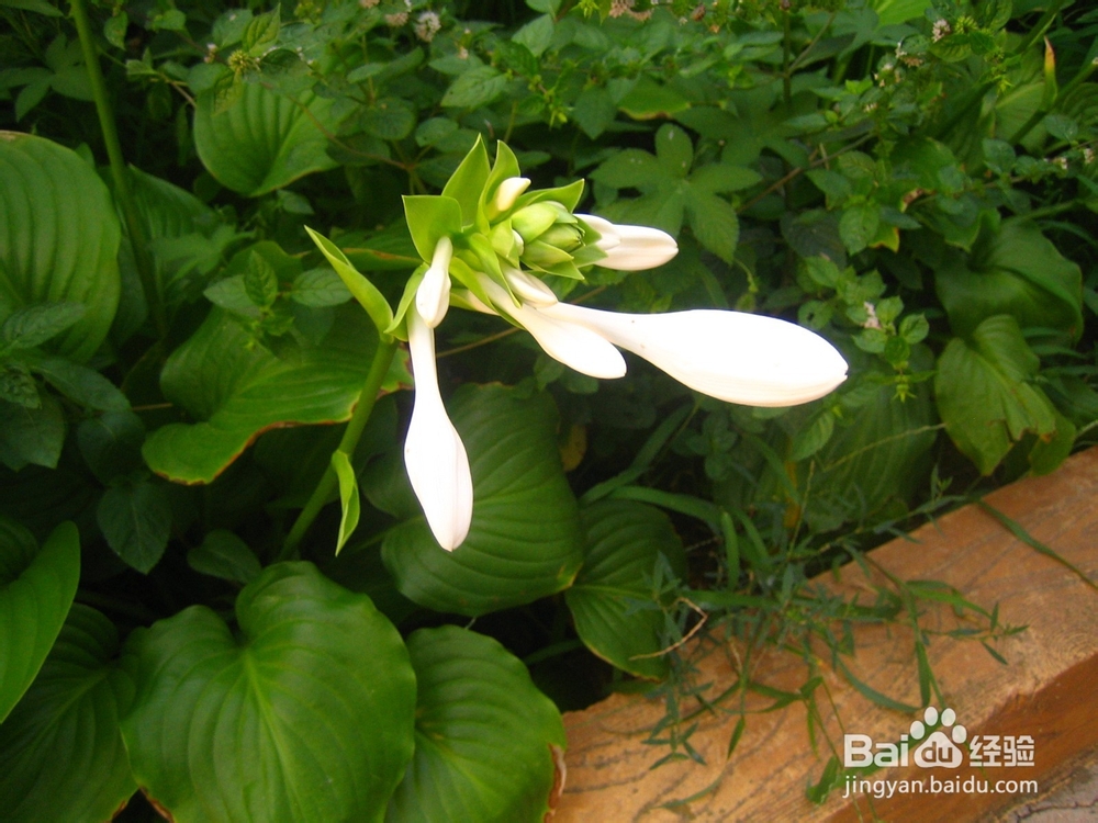 孩子的教育是潜移默化的