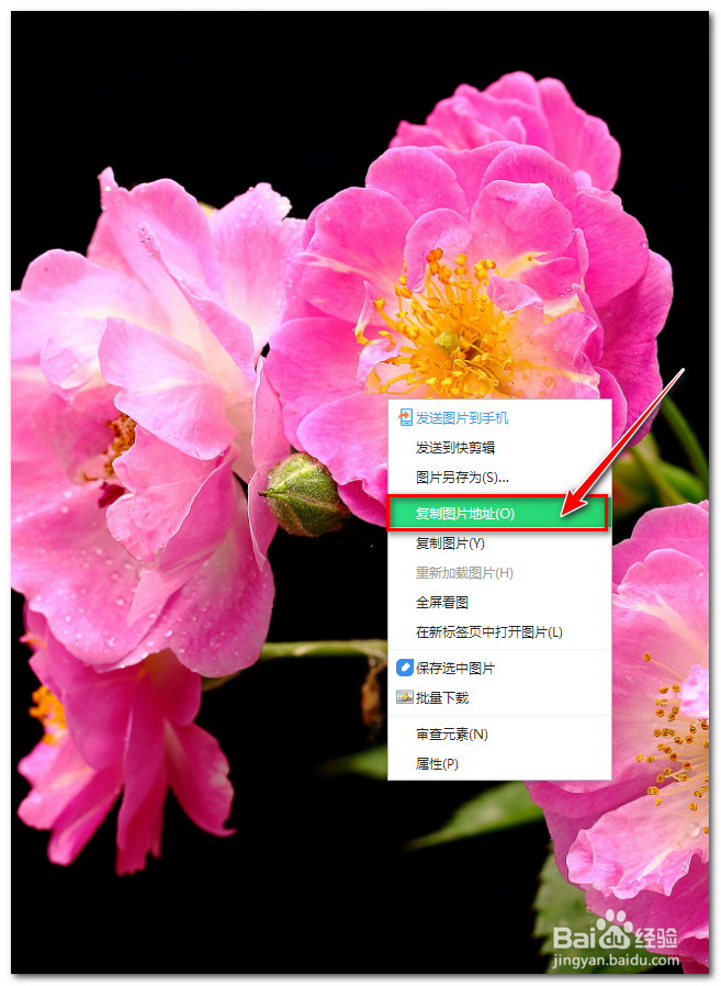 如何用IDM批量下载壁纸