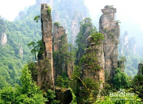 十一黄金周张家界自助游