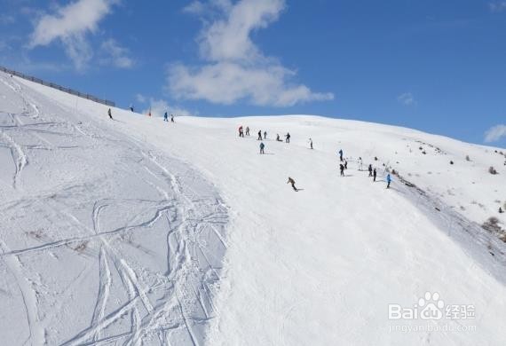 双板滑雪怎样入门