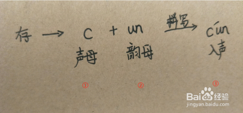 存拼音怎么拼写