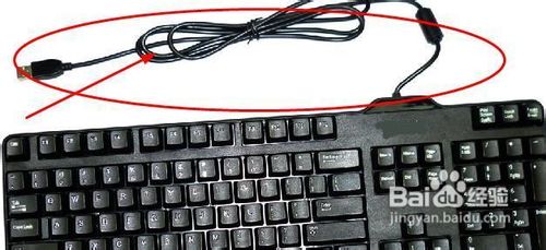 电脑打开了键盘灯没亮怎么办