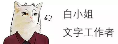 猫咪发现人类存在的终极奥秘