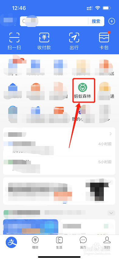 如何设置蚂蚁森林的皮肤背景