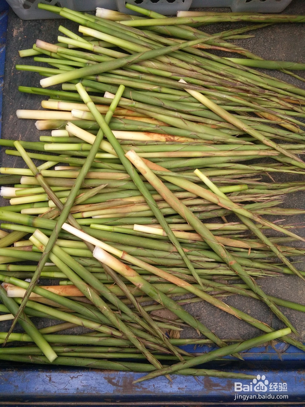 春风吹,春笋生,如何做一道美味的鸡蛋炒春笋?