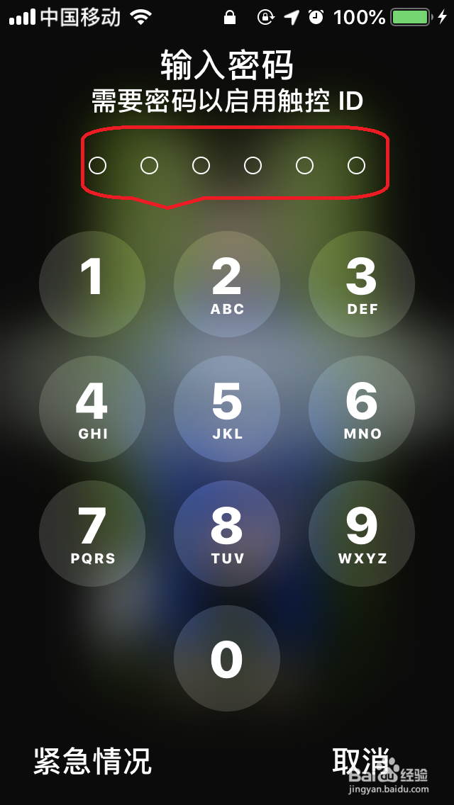 苹果手机IOS12“OTA在线升级”iOS12.0.1教程