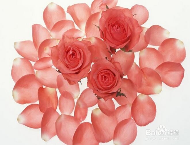 如何拥有健康的睡眠