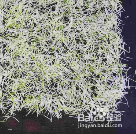 炝拌白萝卜丝