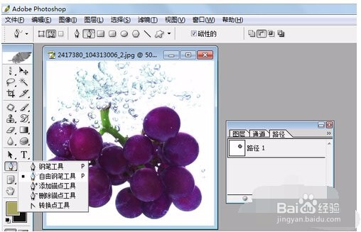 怎么在Photoshop中创建工作路径？