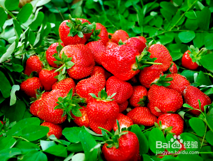 哪些食物可以帮助祛痘？