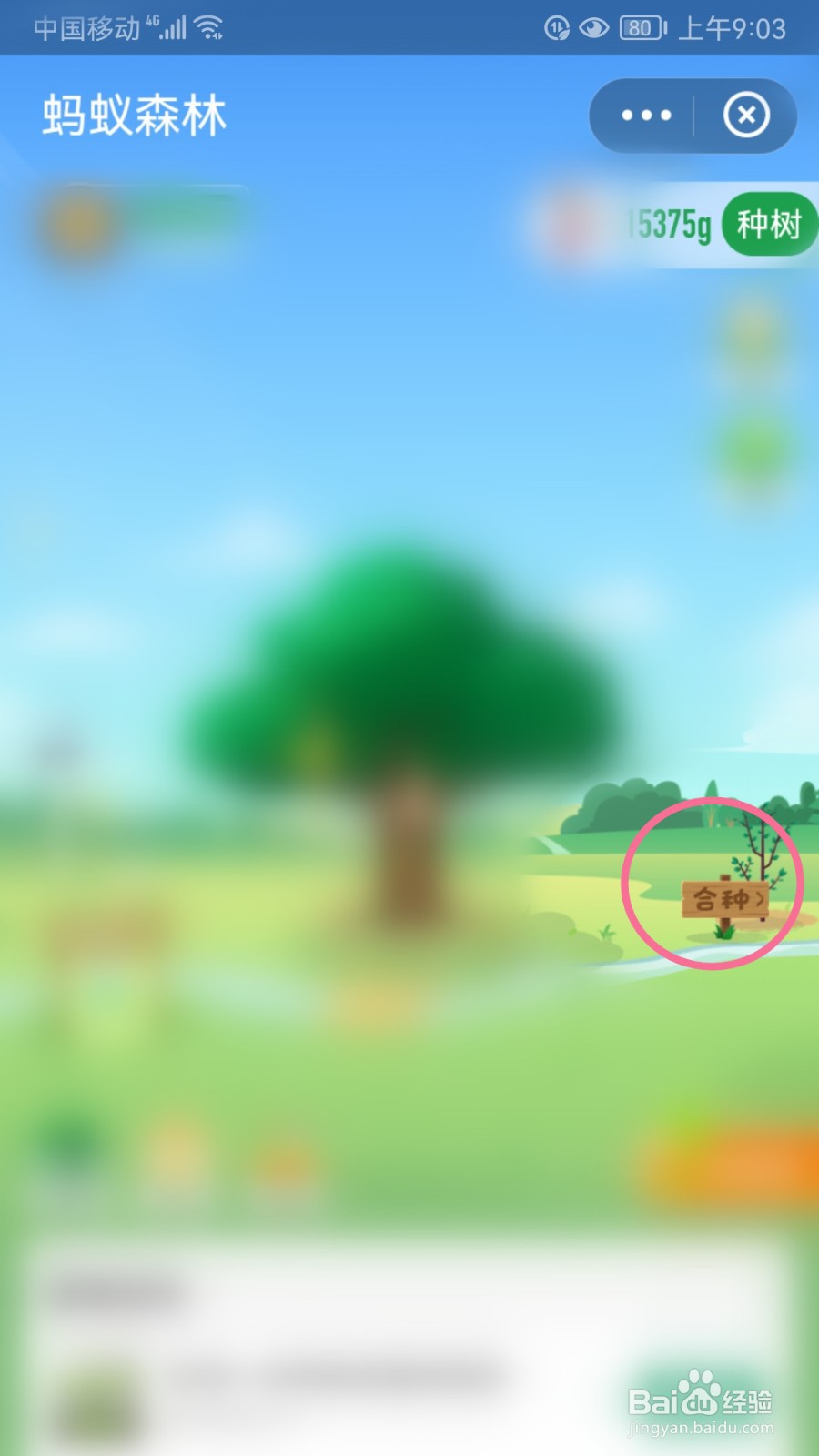 蚂蚁森林如何移出合种成员