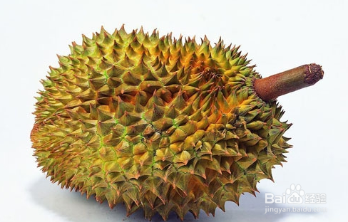怎样挑选榴莲.