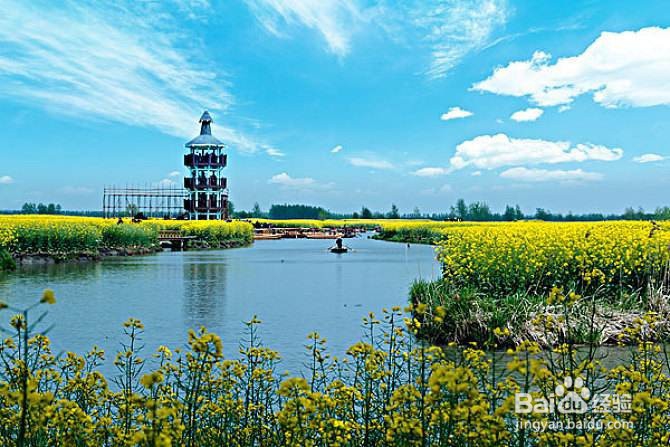 【摄影技巧】怎样掌握平拍、俯拍、仰拍摄影技巧