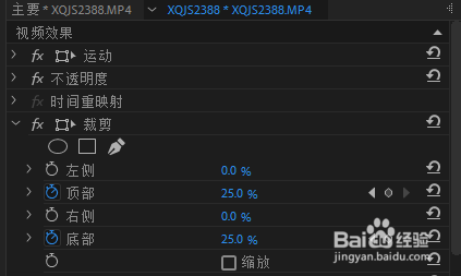 Adobe Premiere Pro 帷幕