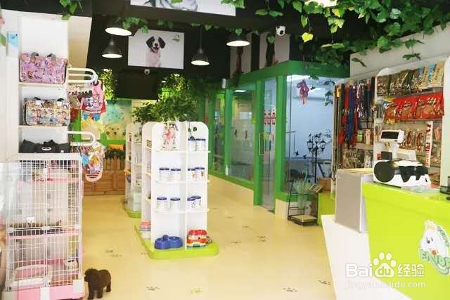 开宠物店有哪些投资成本
