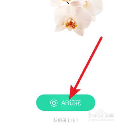 当不知道花的名字时,可用支付宝形色识花!