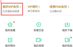 怎样关闭爱奇艺自动续费