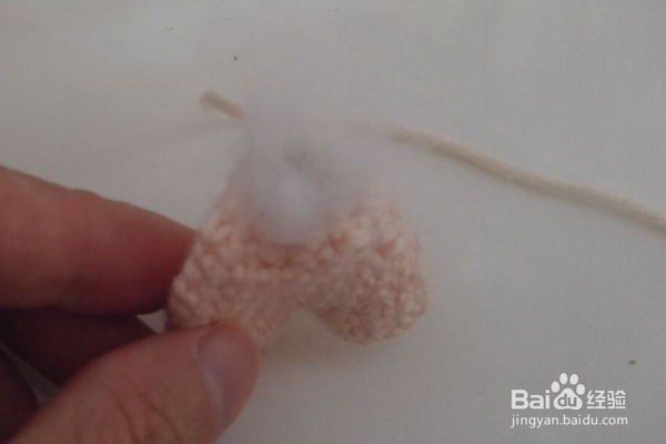 一只丑陋老虎的方法