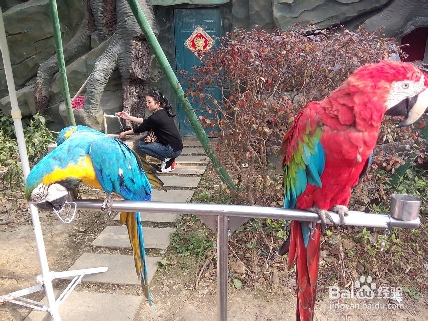 武汉欢乐谷一日游玩攻略