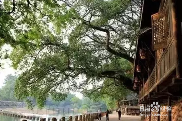 成都周边小江南柳江古镇攻略