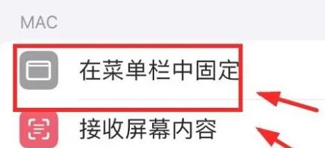 iPhone14如何在菜单中固定MAC选项