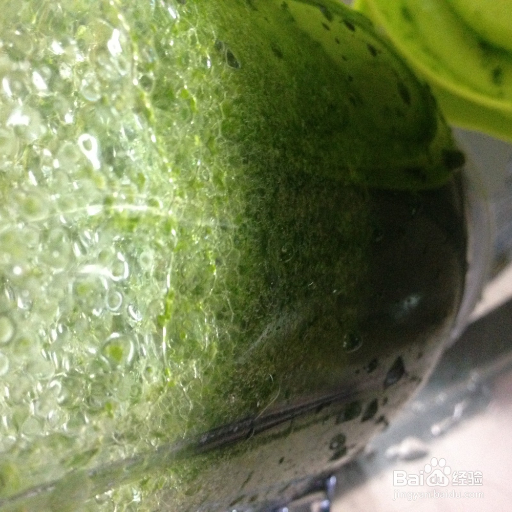 自制各种香煎薄撑