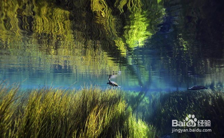 写记叙文~~~结构