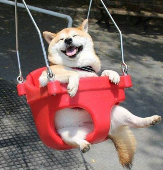 免费追剧APP网站有哪些？