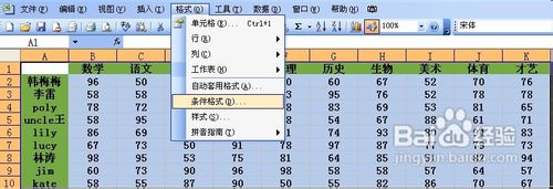 如何使用excel的条件格式