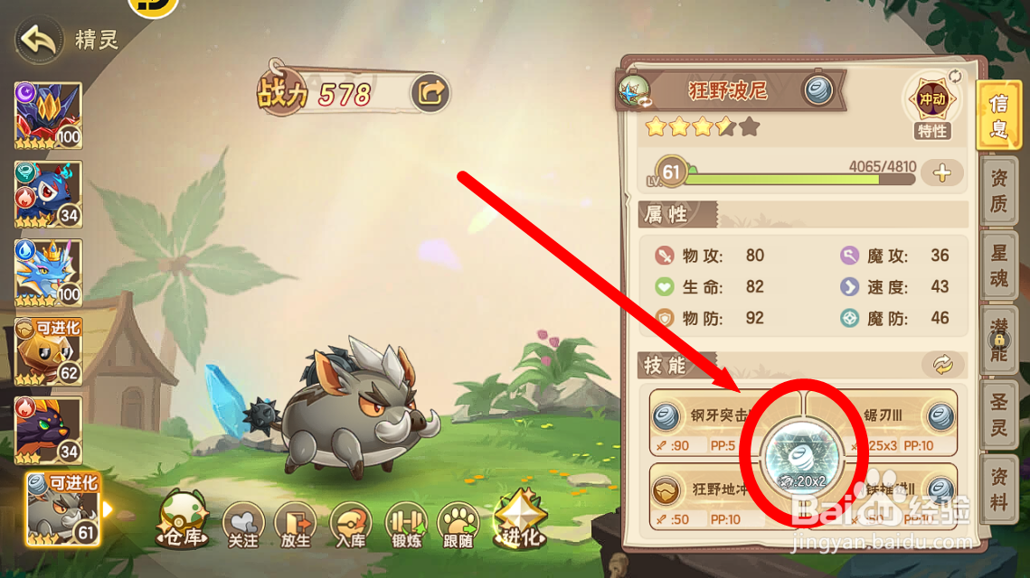 西普大陆怎么看狂野波尼【狂野猪突】技能