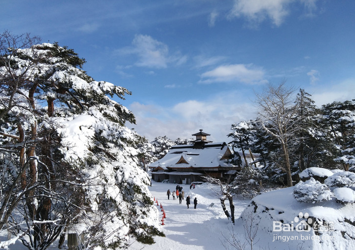 一条性价比爆棚的万元以下日本北海道观雪路线