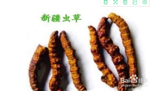 冬虫夏草怎么食用 冬虫夏草的吃法技巧