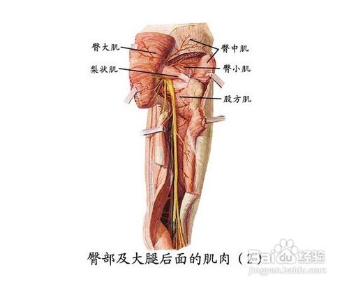 男科之前列腺炎症发病原因集锦