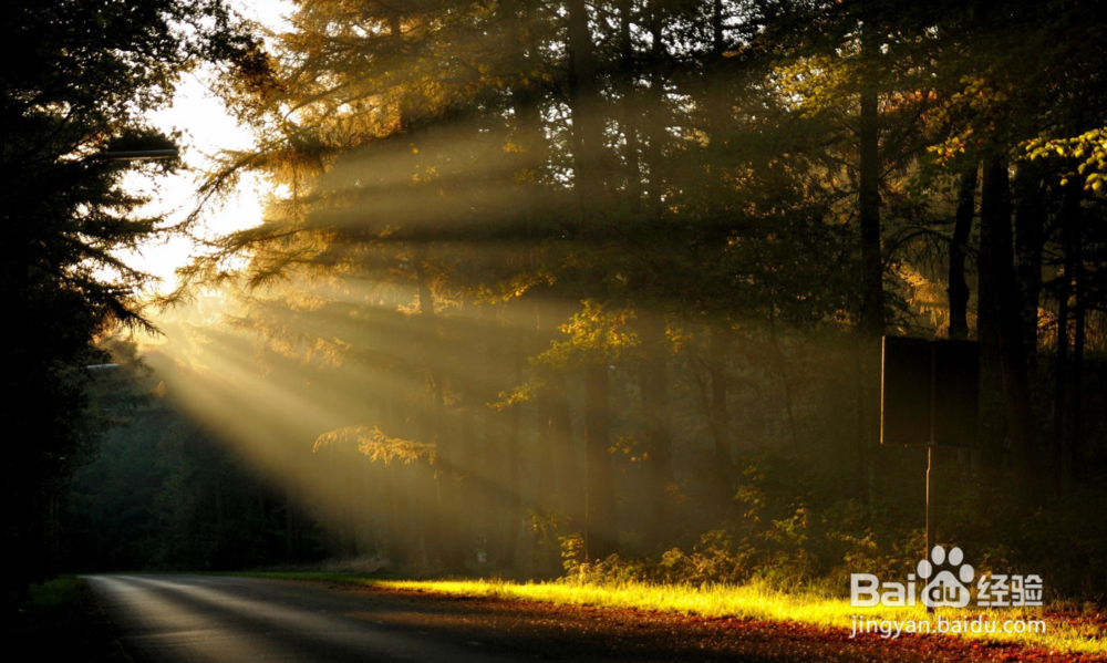 如何去控制情绪