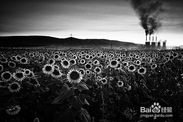 五个应对空气污染的拍摄技巧：[1]