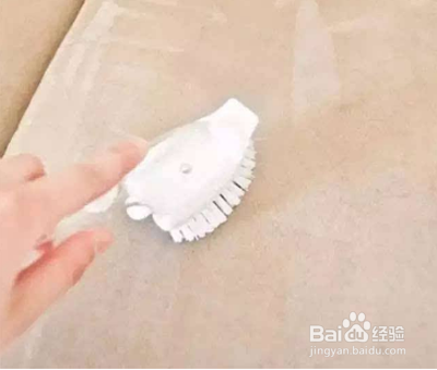 怎样去除合成革上的霉点