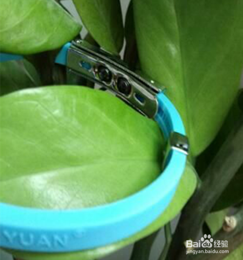 猫身上有静电怎么去除