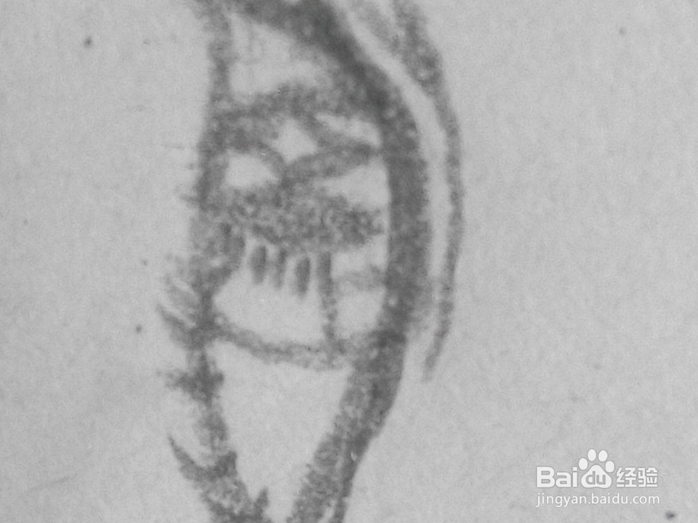 原创动漫人物的眼睛十九