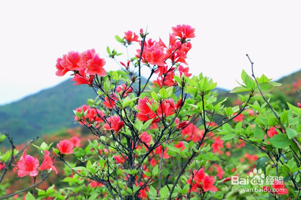 高三怎么学习高考成绩好