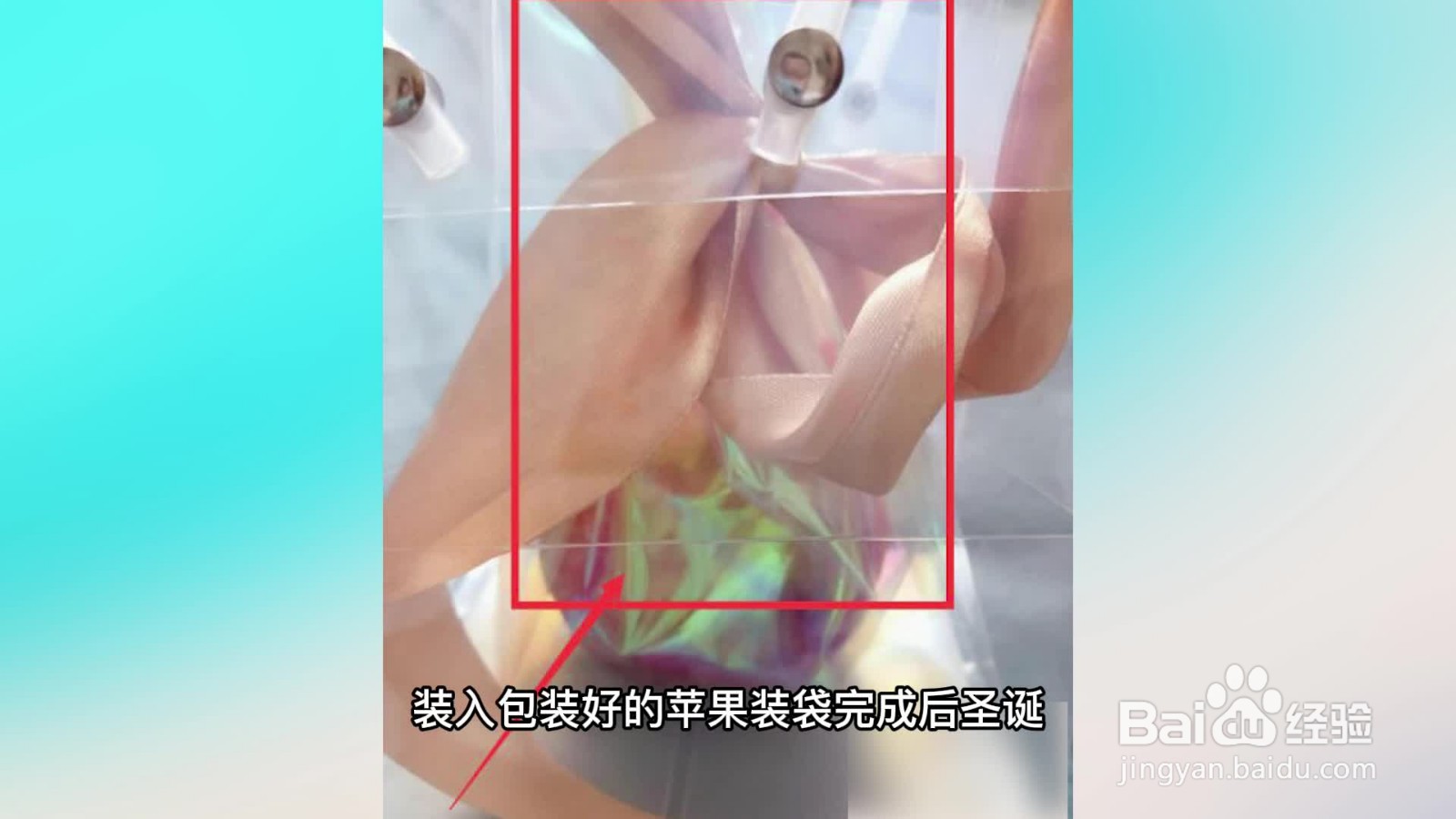 圣诞果的包装方法