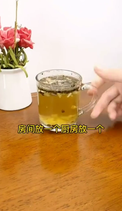 怎样消灭家里的蚊子