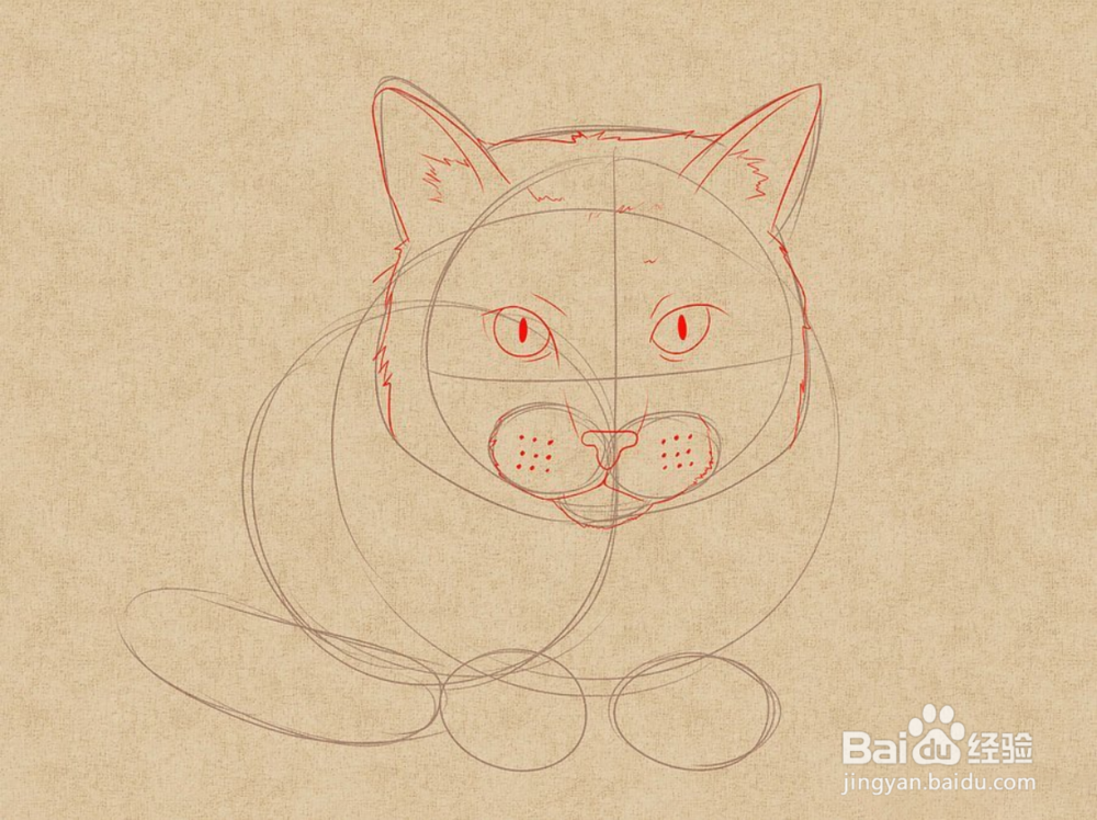 如何快速画姿势不一样的猫呢?
