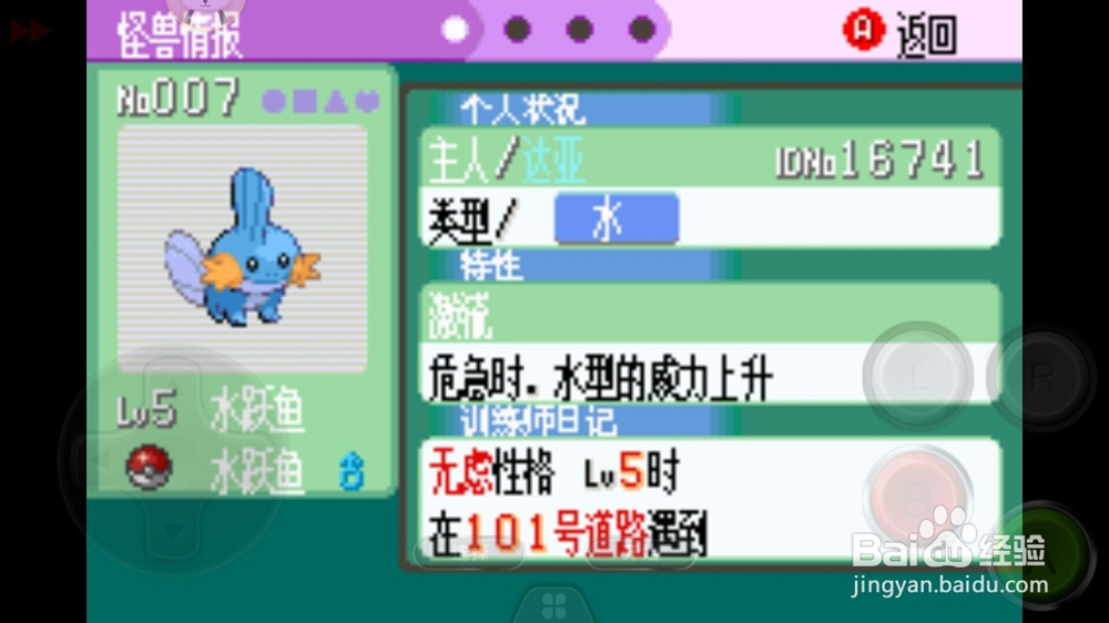 口袋妖怪绿宝石初始精灵水跃鱼性格选择。