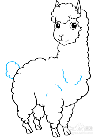 可爱的小羊驼怎么画图片