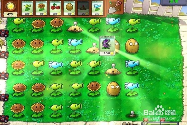 植物大战僵尸通全关的攻略。（七）