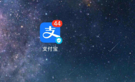 如何使用支付宝里的支付积分？